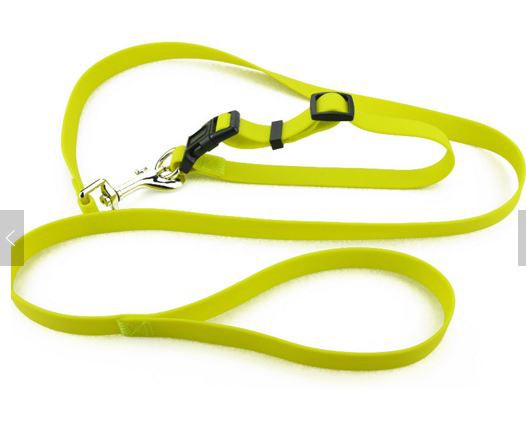 بدون سایز با کیفیت بالا، یقه و سوزن بزرگ سگ